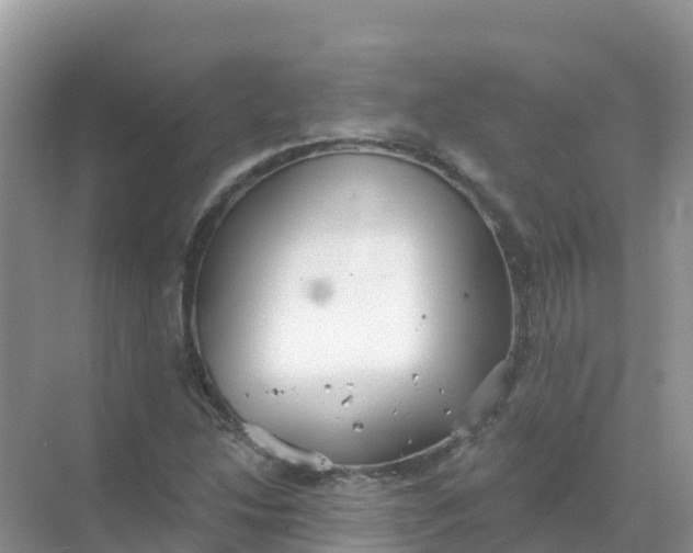 X0000069361214200605261950