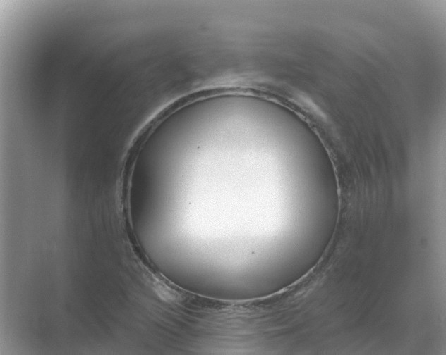 X0000069361216200605261950