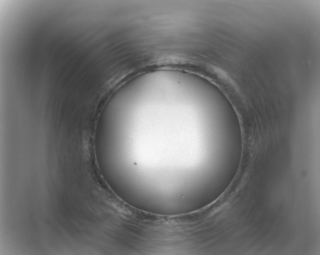 X0000069361217200605261950