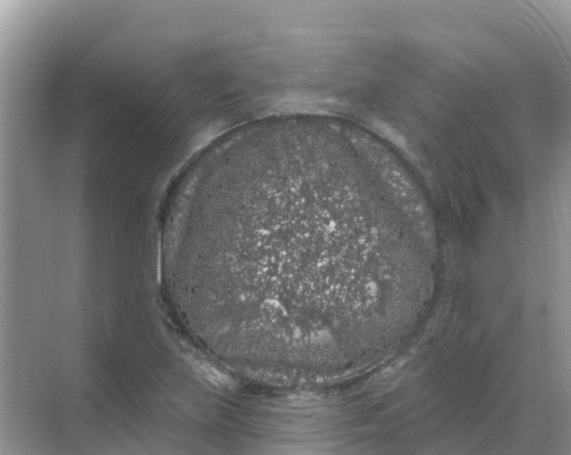 X0000069361219200605261950