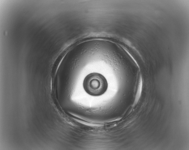 X0000069361221200605261950