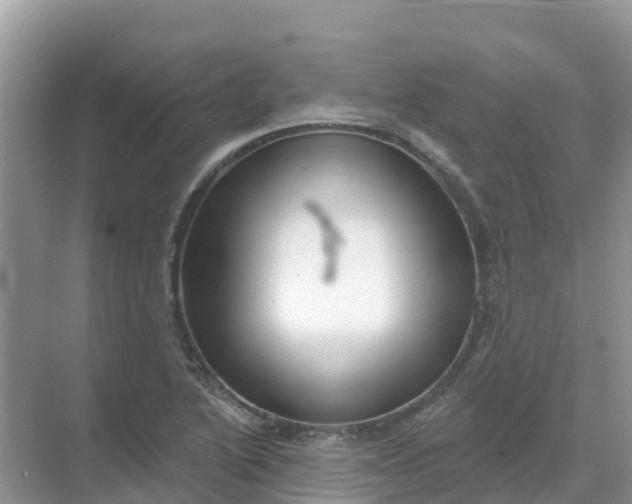 X0000069361222200605261950