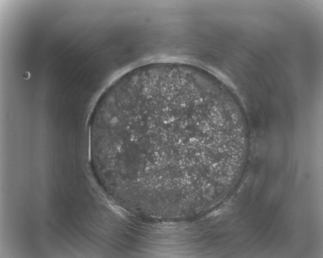 X0000069361223200605261950