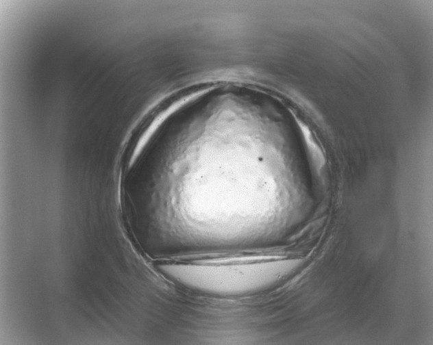 X0000069361224200605261950