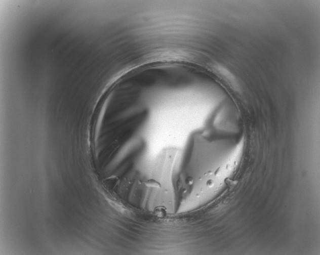 X0000069361226200605261950