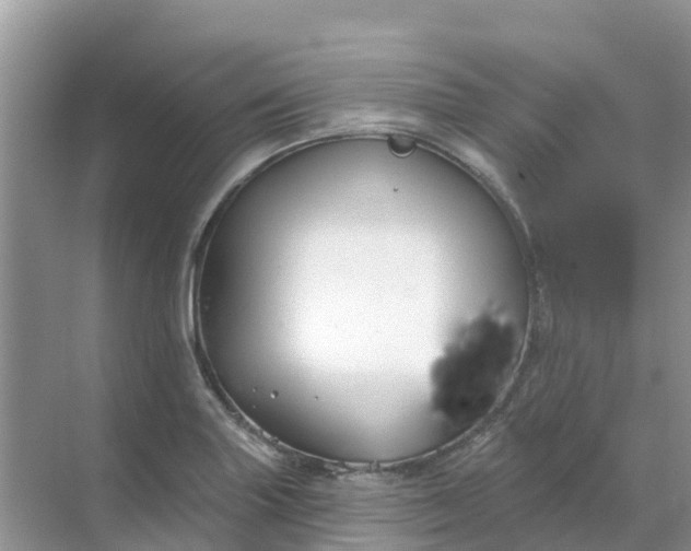 X0000069361227200605261950