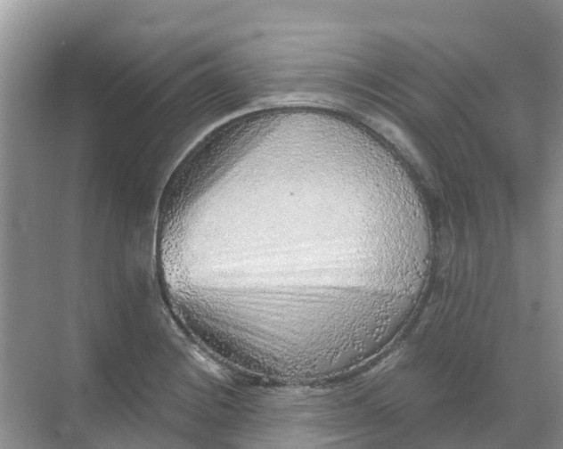 X0000069361228200605261950