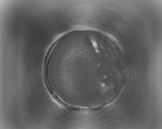 X0000069361231200605261950