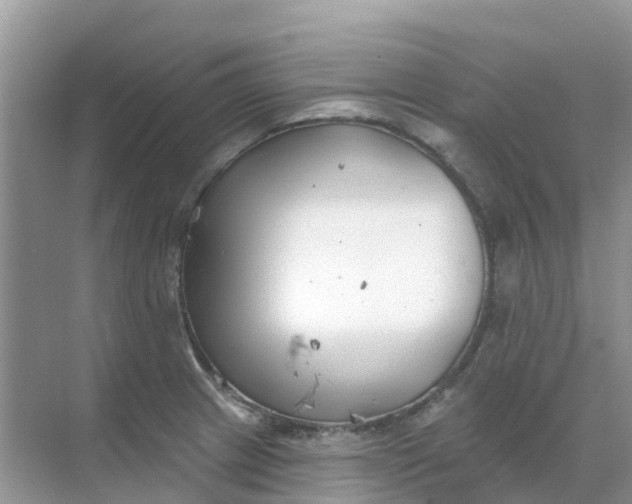 X0000069361233200605261950