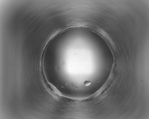 X0000069361234200605261950