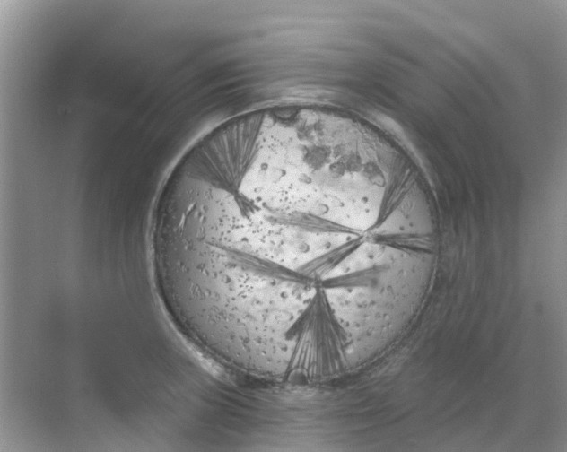 X0000069361235200605261950