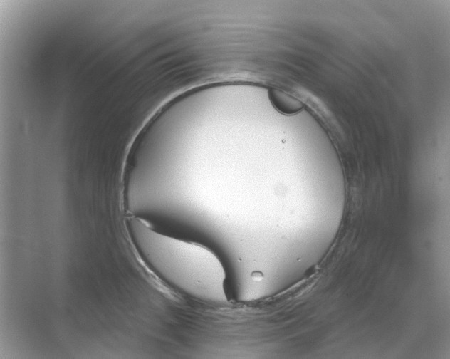 X0000069361236200605261950