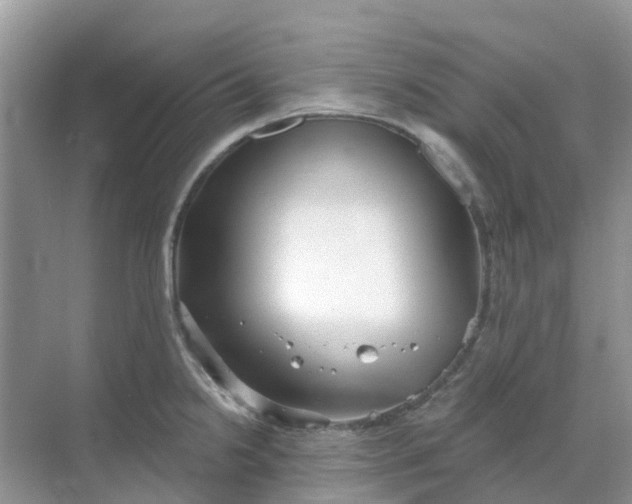 X0000069361238200605261950