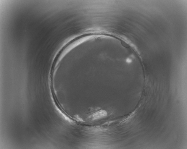 X0000069361239200605261950