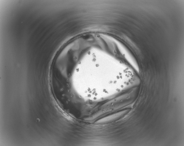 X0000069361240200605261950