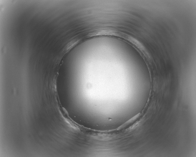 X0000069361241200605261950