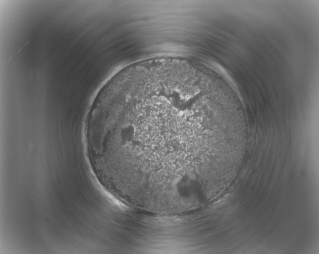 X0000069361243200605261950