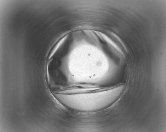 X0000069361244200605261950