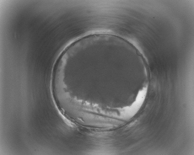 X0000069361245200605261950