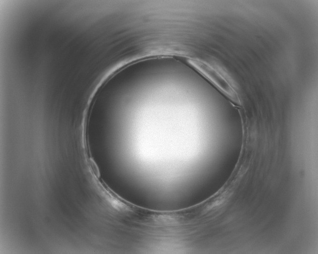 X0000069361246200605261950