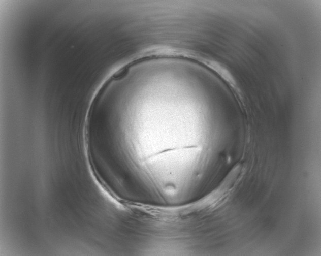 X0000069361247200605261950