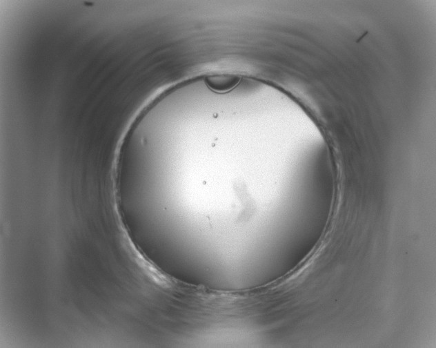 X0000069361248200605261950