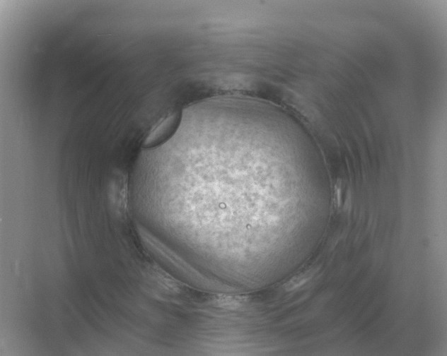 X0000069361251200605261950