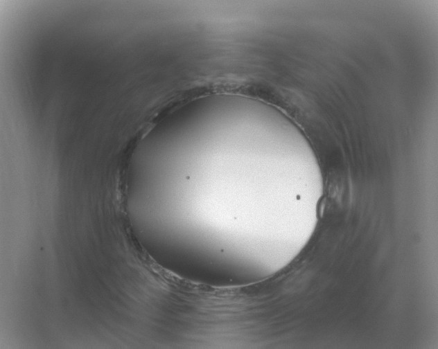 X0000069361252200605261950