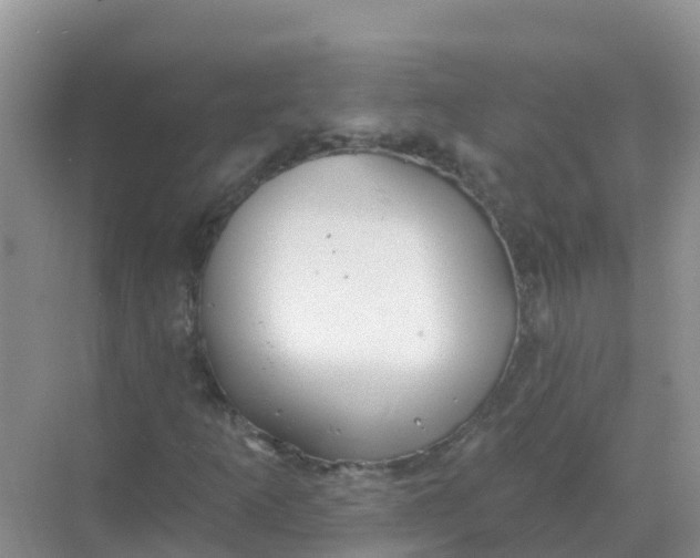 X0000069361253200605261950