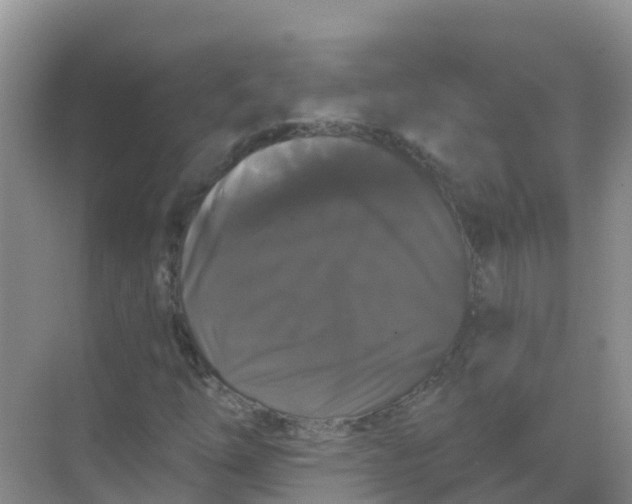 X0000069361254200605261949