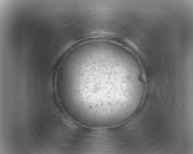 X0000069361259200605261949