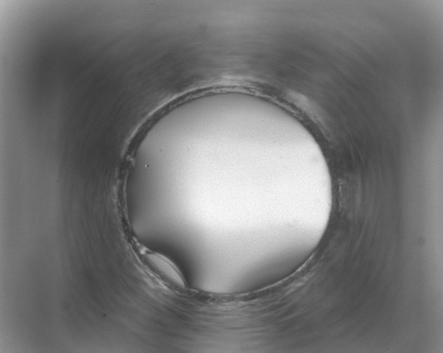 X0000069361260200605261949