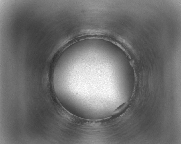 X0000069361261200605261949