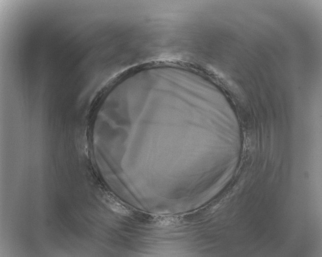 X0000069361262200605261949