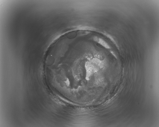 X0000069361263200605261949