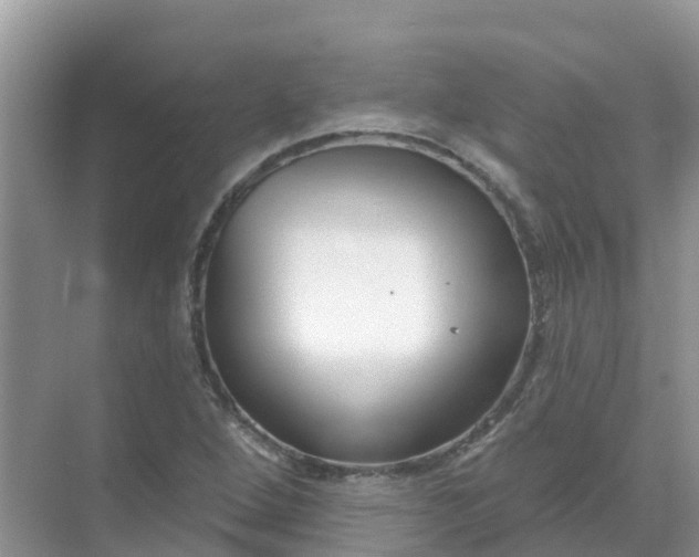 X0000069361264200605261949