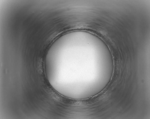 X0000069361265200605261949