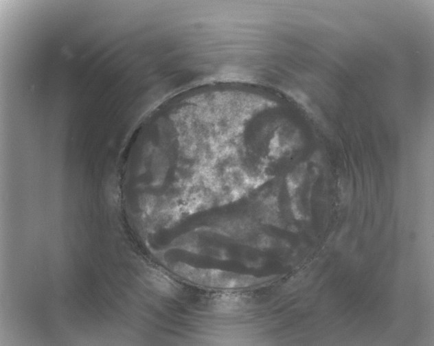 X0000069361266200605261949