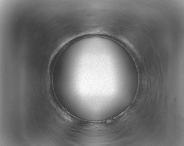 X0000069361270200605261949