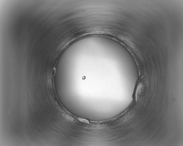 X0000069361273200605261949