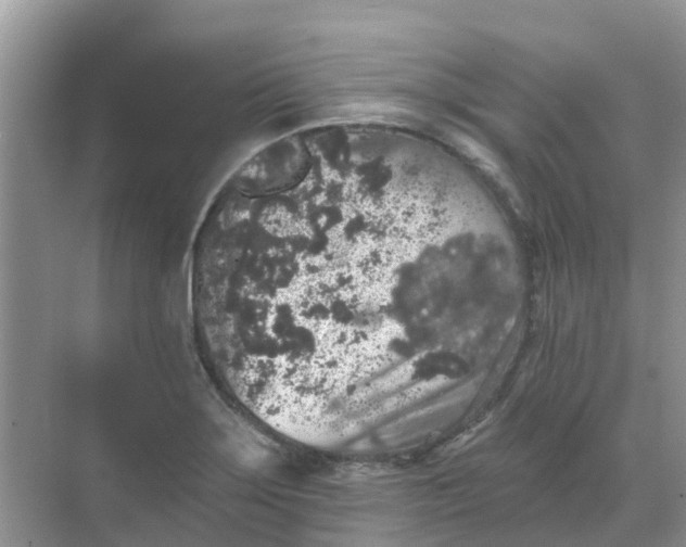 X0000069361275200605261949