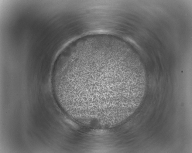 X0000069361278200605261949