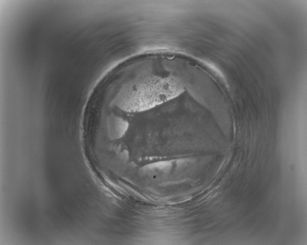 X0000069361279200605261949