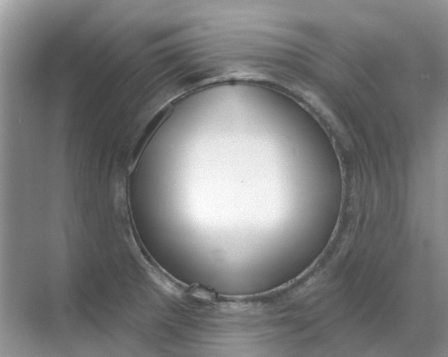 X0000069361281200605261949