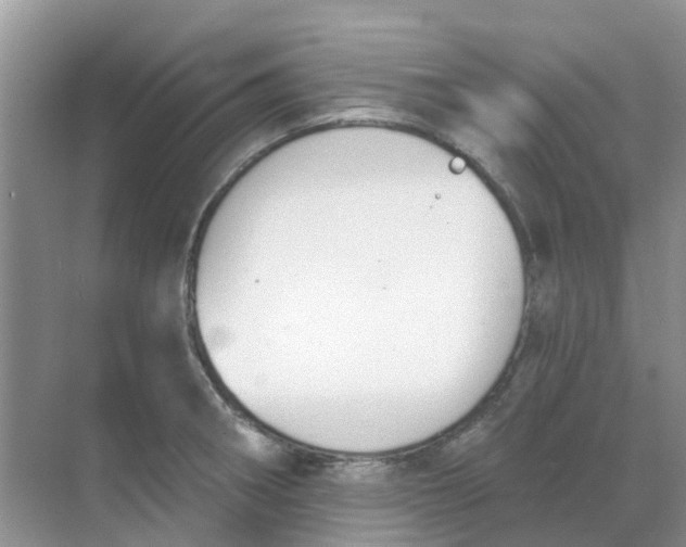 X0000069361282200605261949