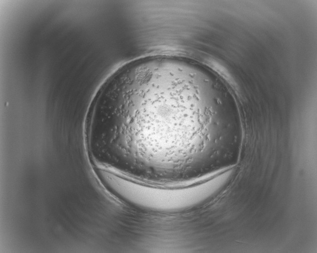 X0000069361283200605261949