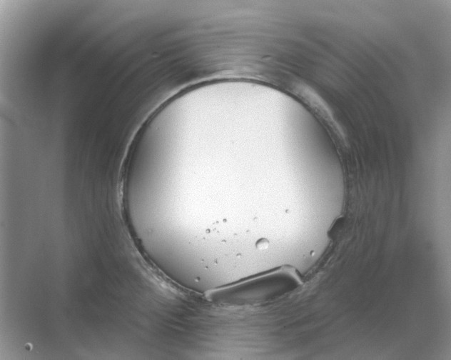 X0000069361284200605261949