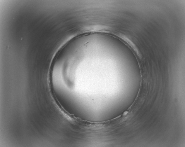 X0000069361285200605261949