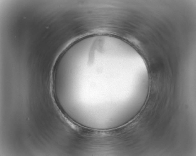 X0000069361286200605261949