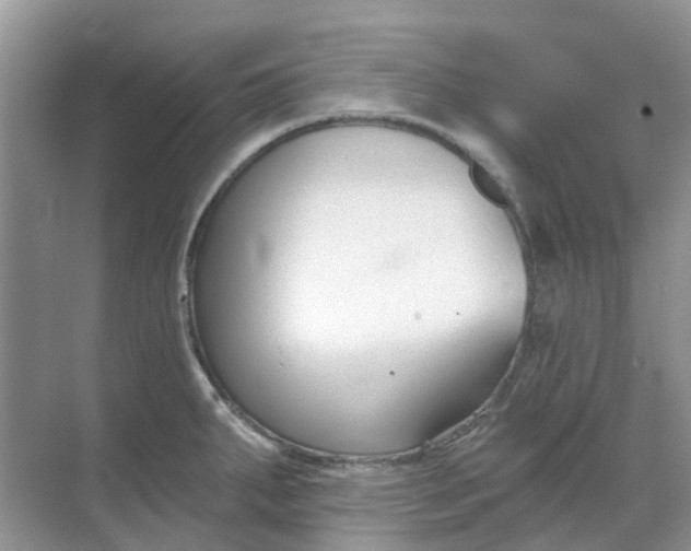 X0000069361287200605261949